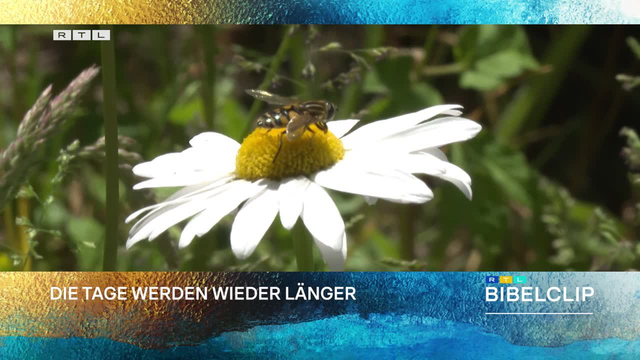 RTL-Bibelclip - Beginn der Sommerzeit