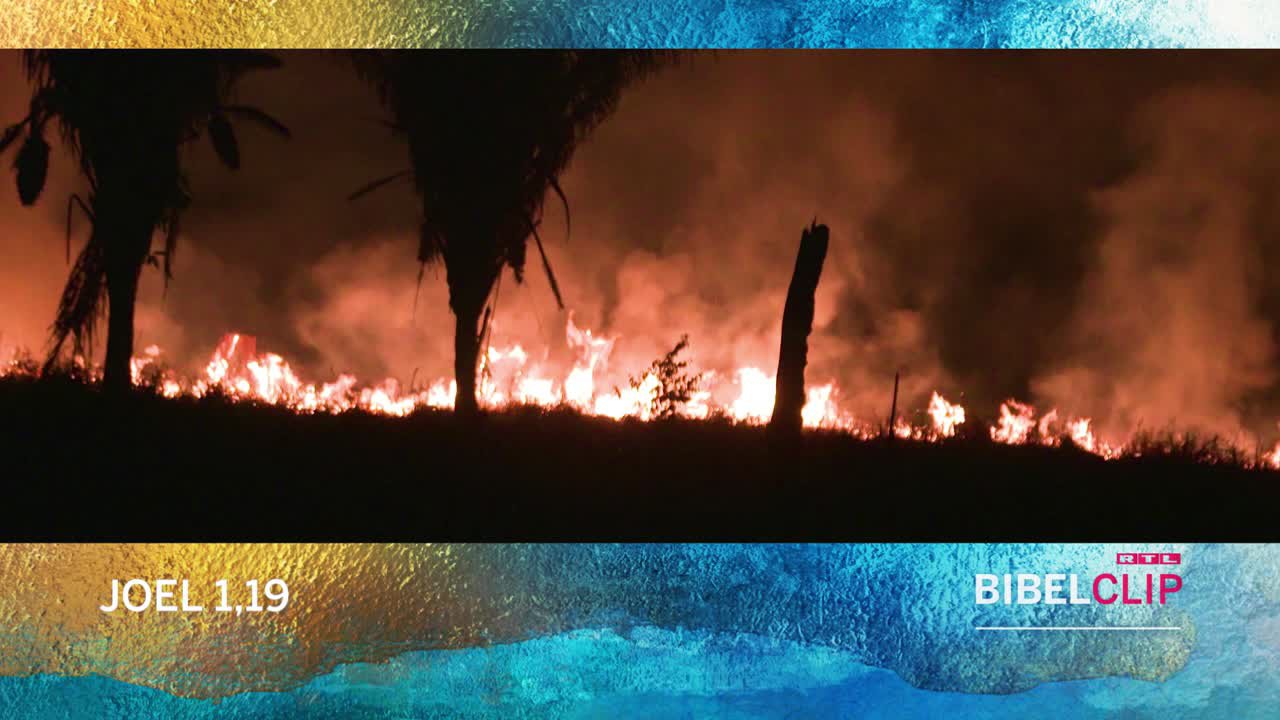 RTL-Bibelclip - Amazonas
