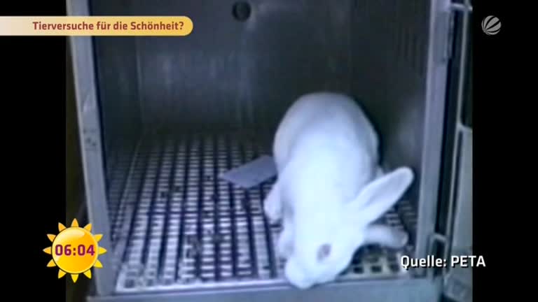 Gewissensfrage: Tierversuche für die Schönheit?