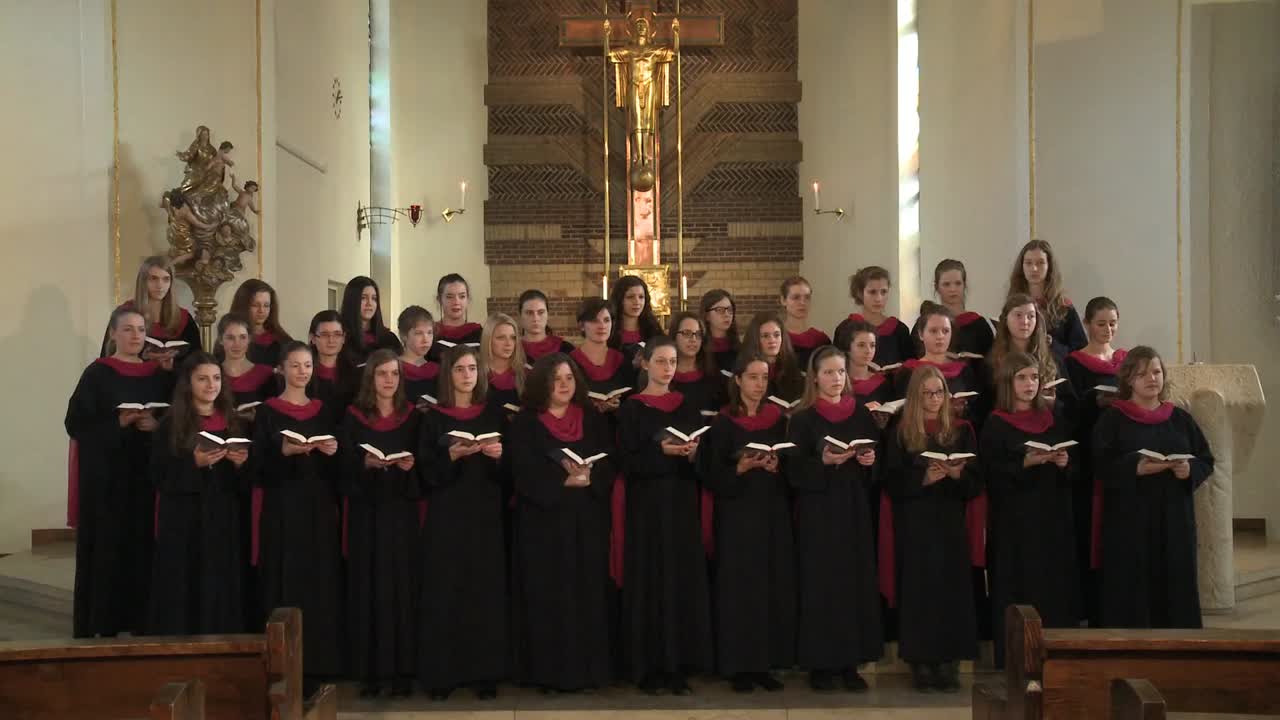 Gotteslobvideo (GL 530): Maria, Mutter unsres Herrn