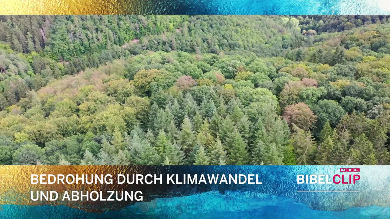 RTL-Bibelclip - Internationaler Tag des Baumes