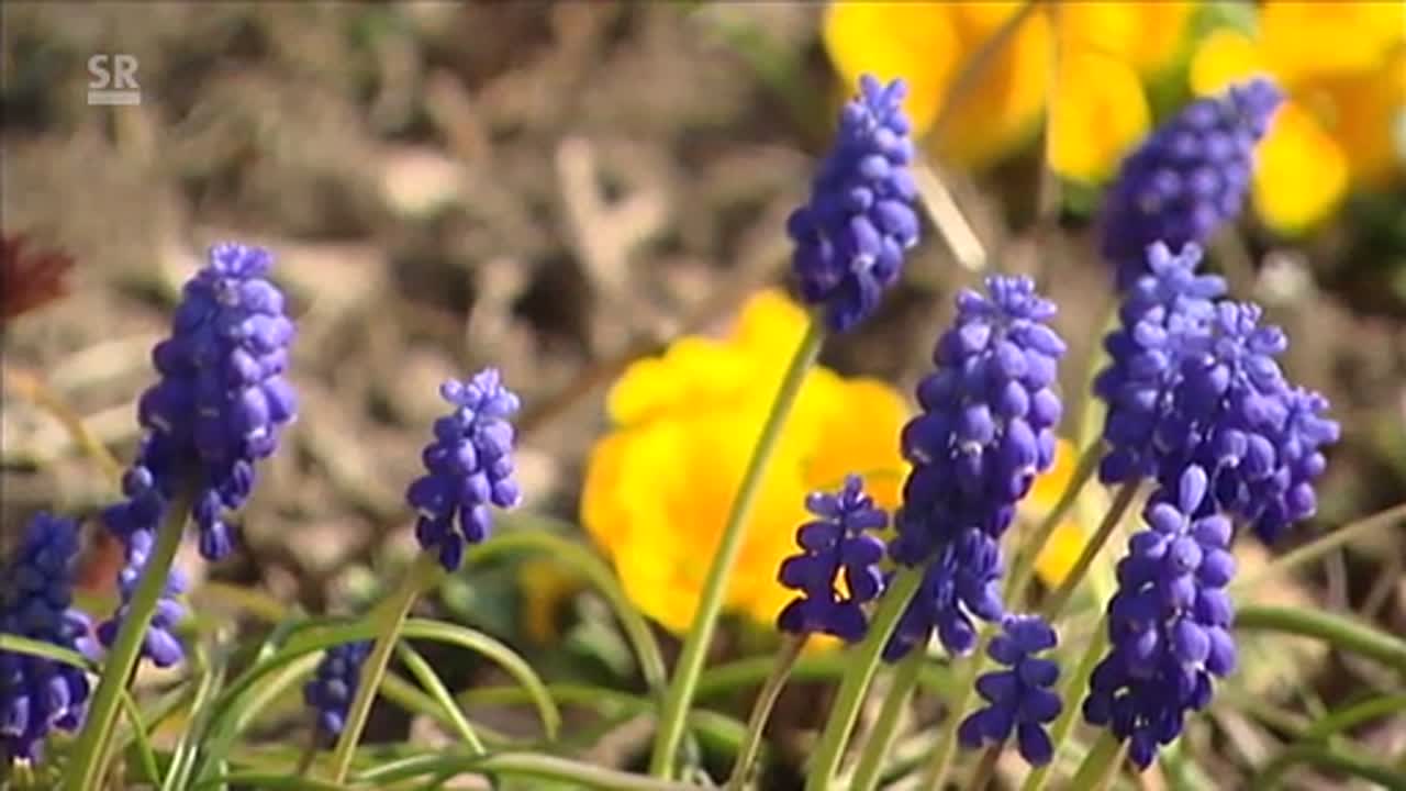 Aus christlicher Sicht: Frühling