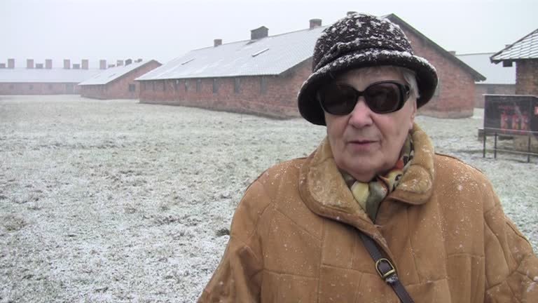 Eine Kindheit in der Hölle von Auschwitz: Dzieciństwo w piekle Auschwitz   