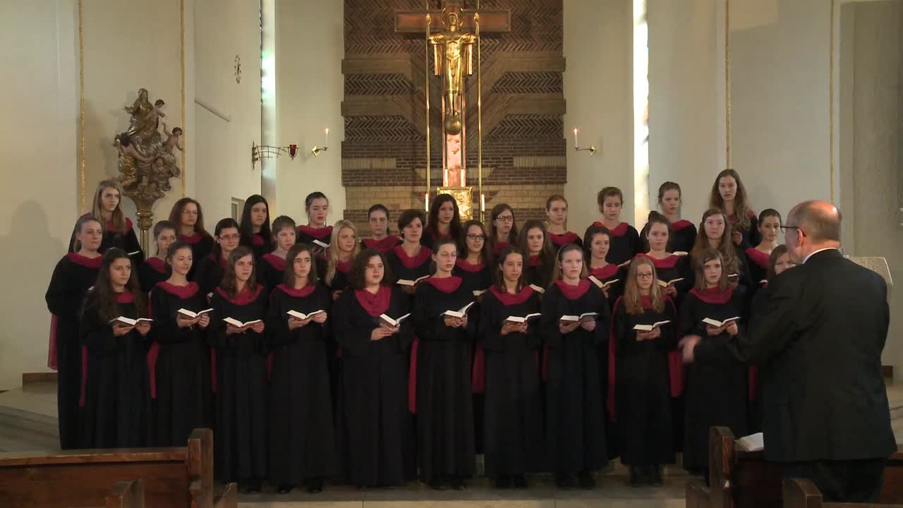 Gotteslobvideo (GL 207): Lamm Gottes (Gesang, Gelineau)