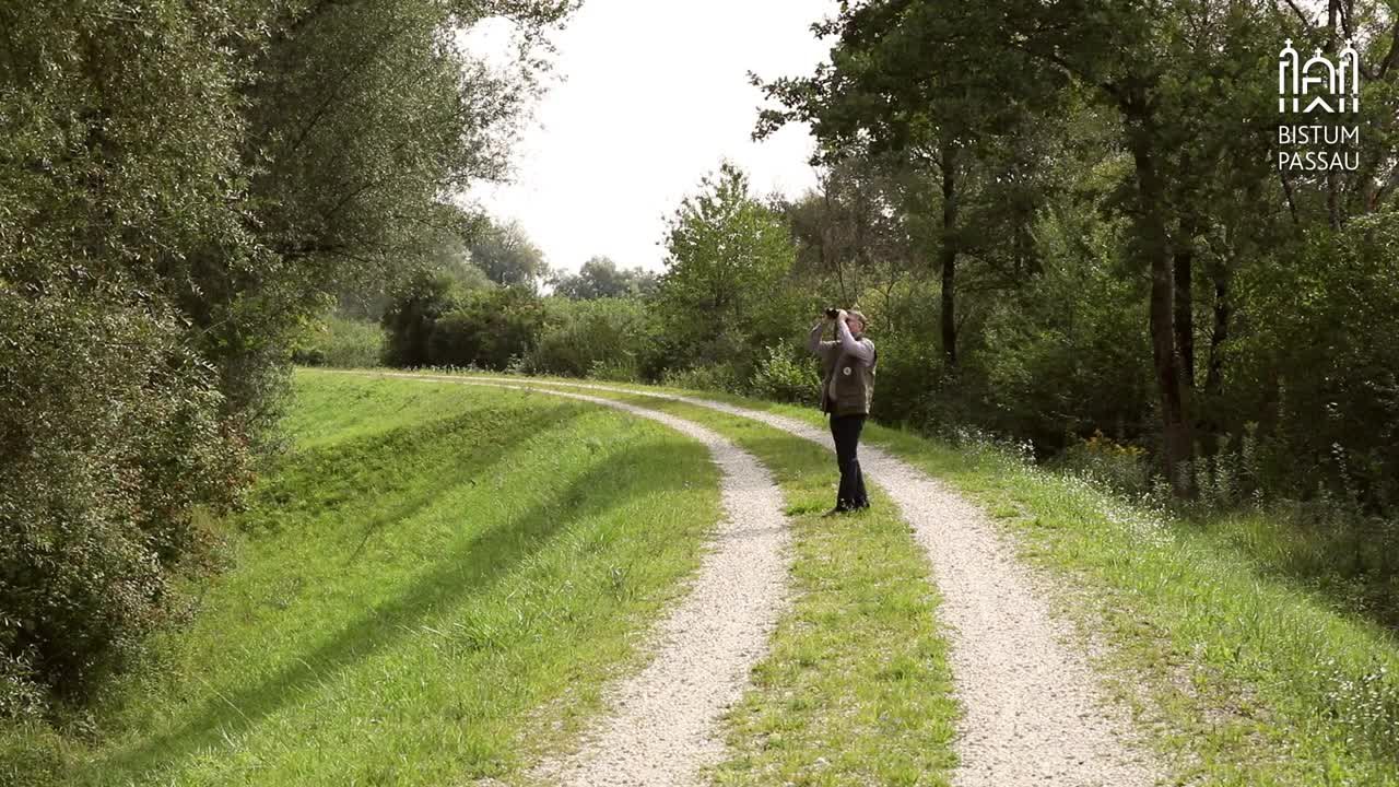 Meine Liebe zur Natur 