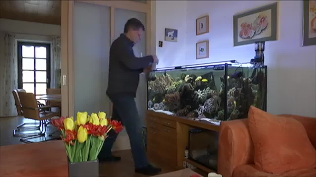 "Fische und Bienen"