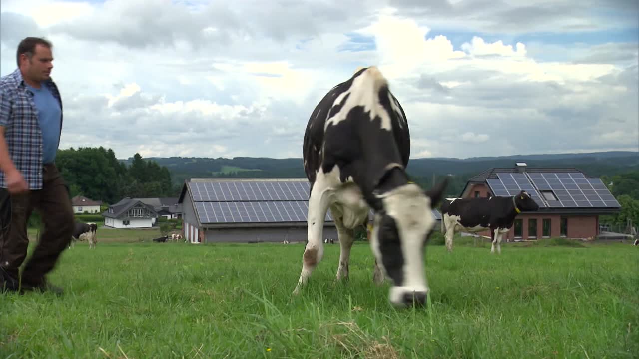 Gewissensfrage: Milchbauern