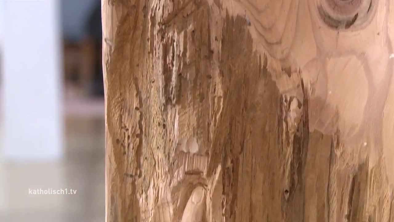 Altes Holz, aber frischer Geist