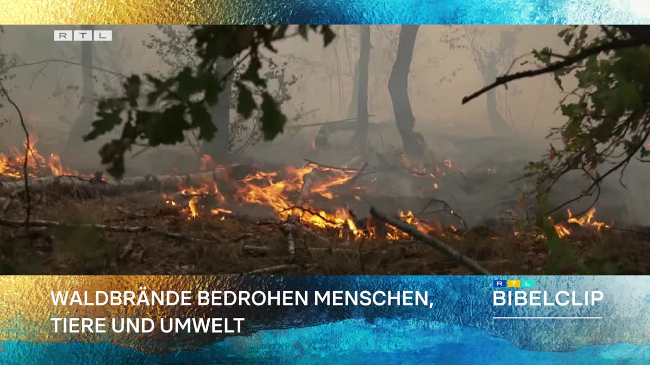 RTL-Bibelclip - Waldbrandgefahr steigt