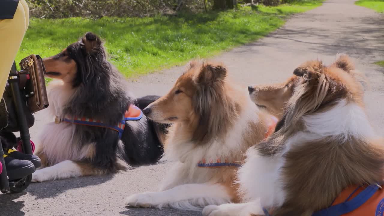 Ehrensache: Filiz Rollidogs