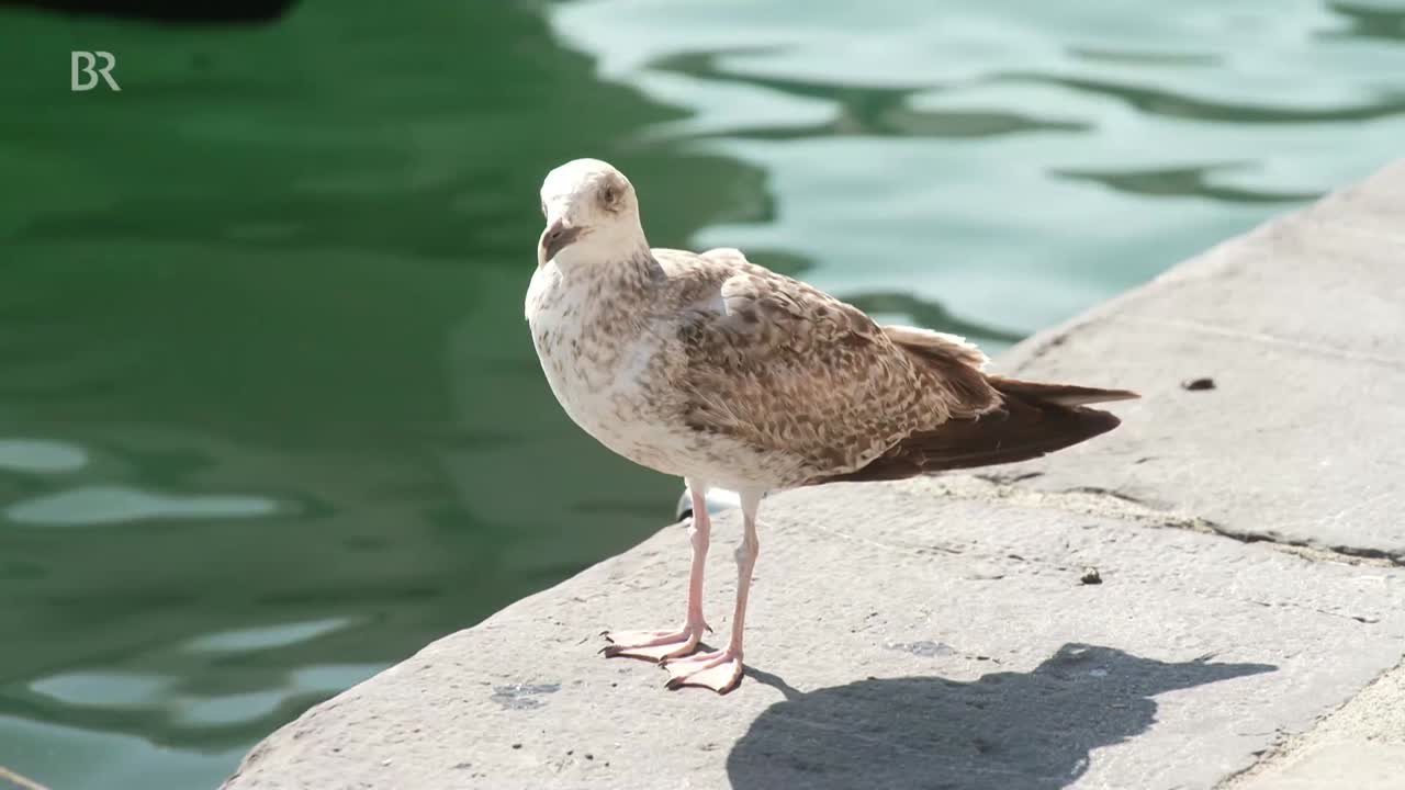 Zeit und Ewigkeit