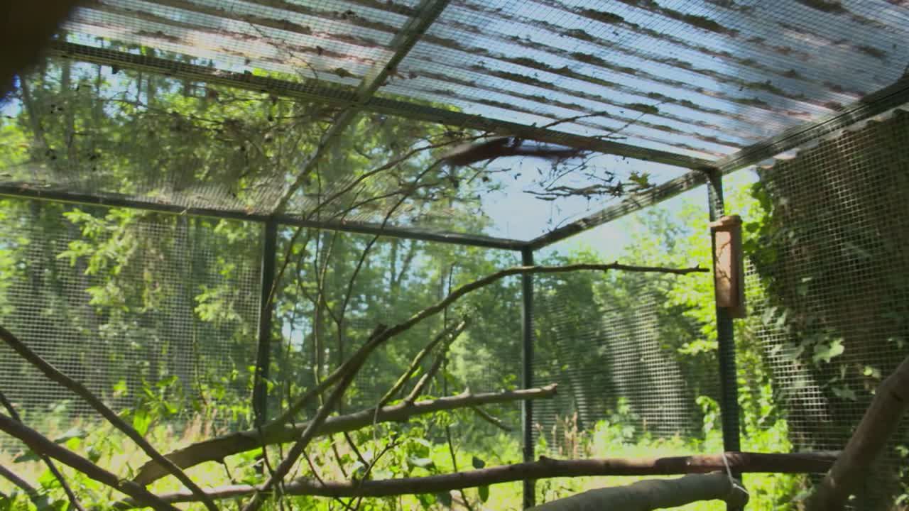 Ehrensache Wildtierhilfe Schäfer