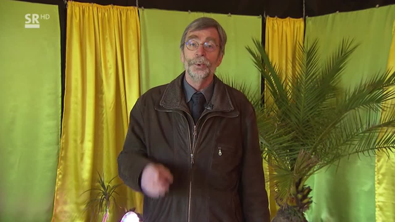 Aus christlicher Sicht - Ostergarten