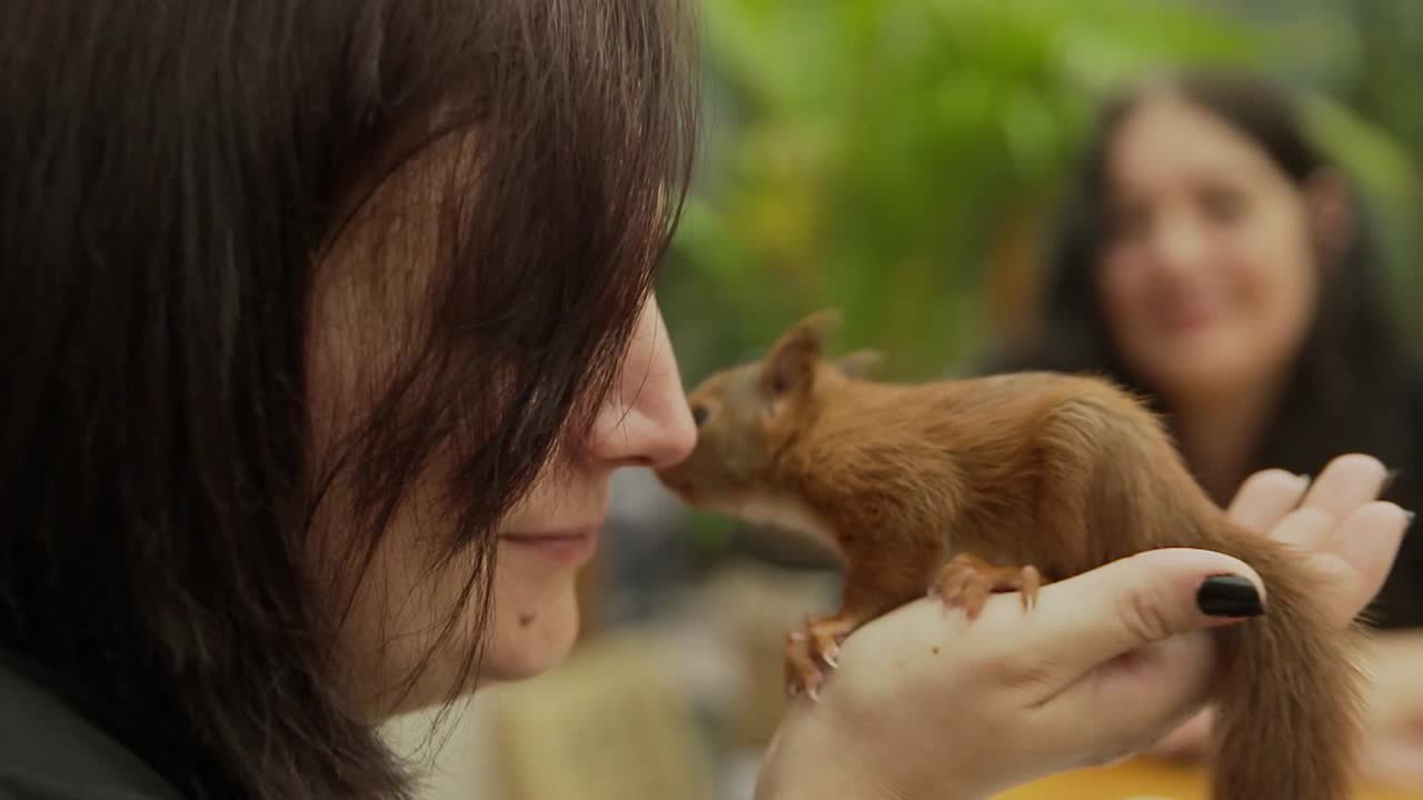 Ehrensache "Tierretter"