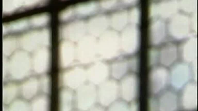 ZDF-Gottesdienst aus Worms (06.02.2005)
