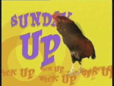 Sunday up: Bärbel Schäfer