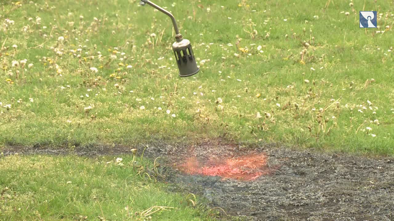 "Über diese Sache soll kein Gras wachsen"