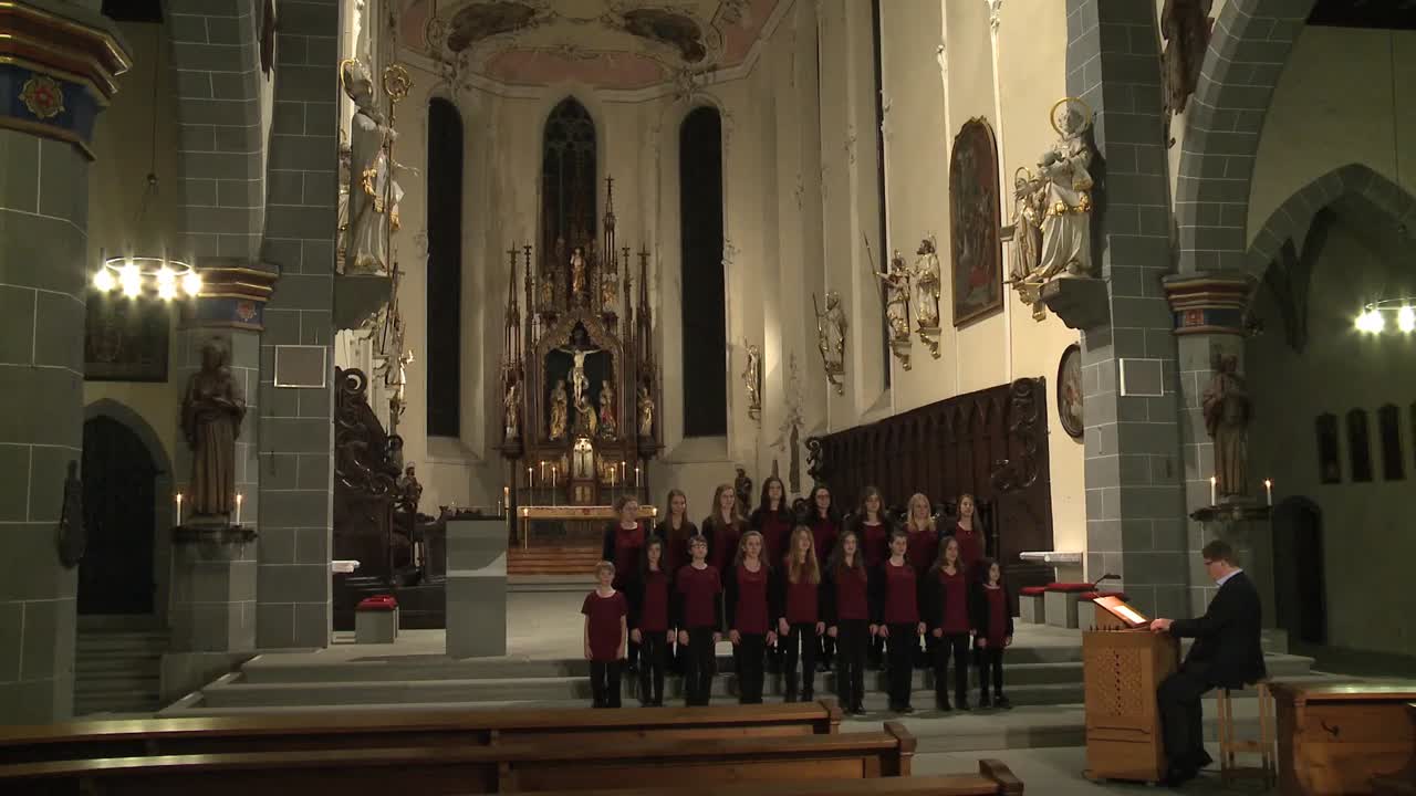 Gotteslobvideo (GL 466): Herr, dich loben die Geschöpfe