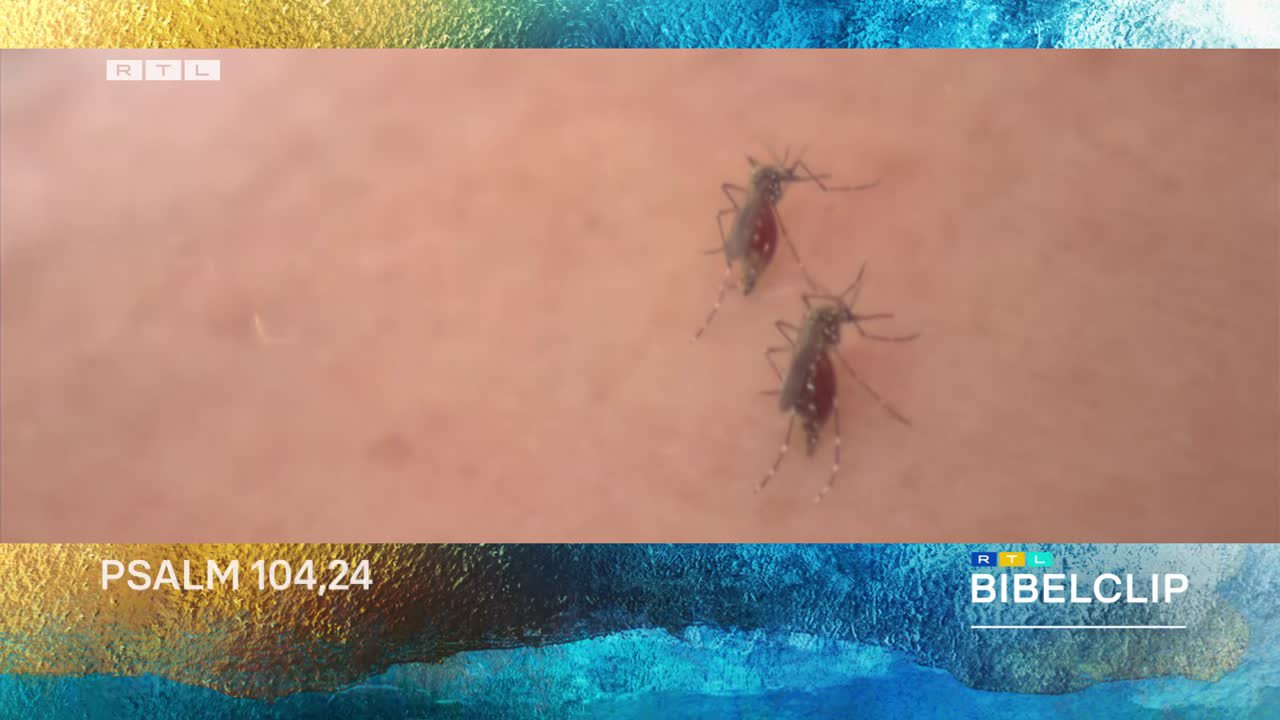 Biologische Vielfalt in Gefahr