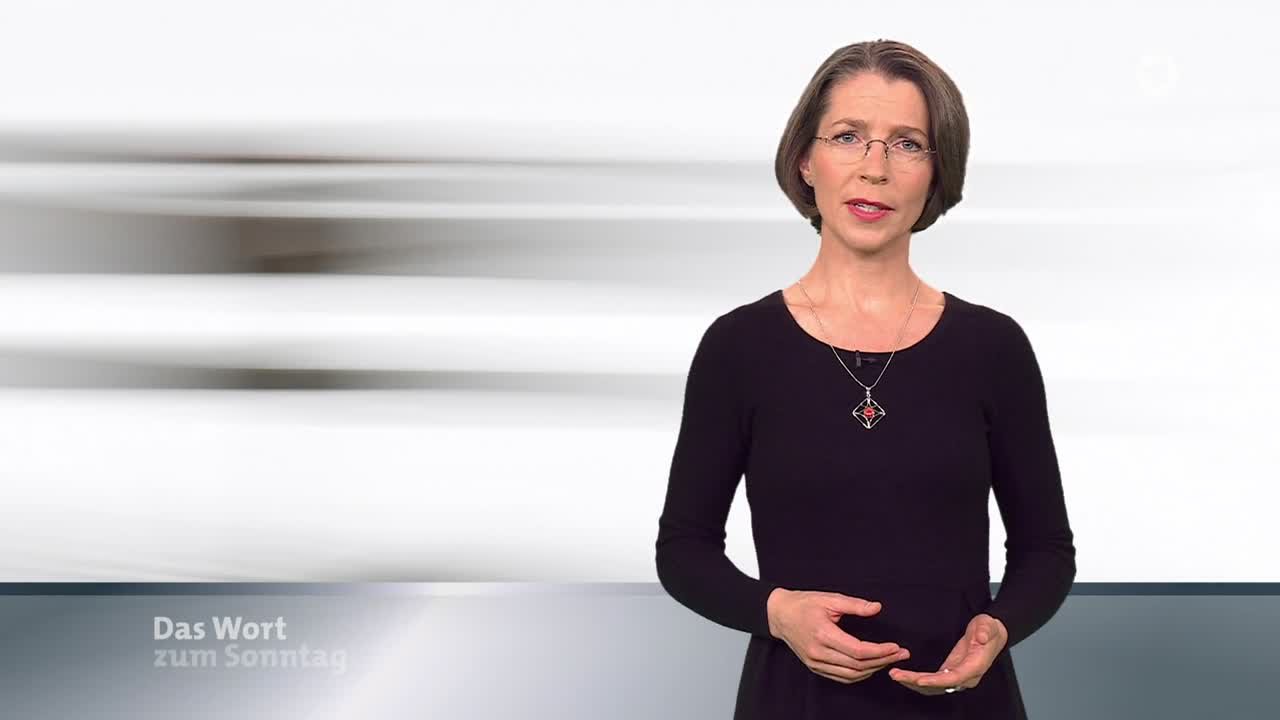 Das Wort zum Sonntag vom 04.11.2023