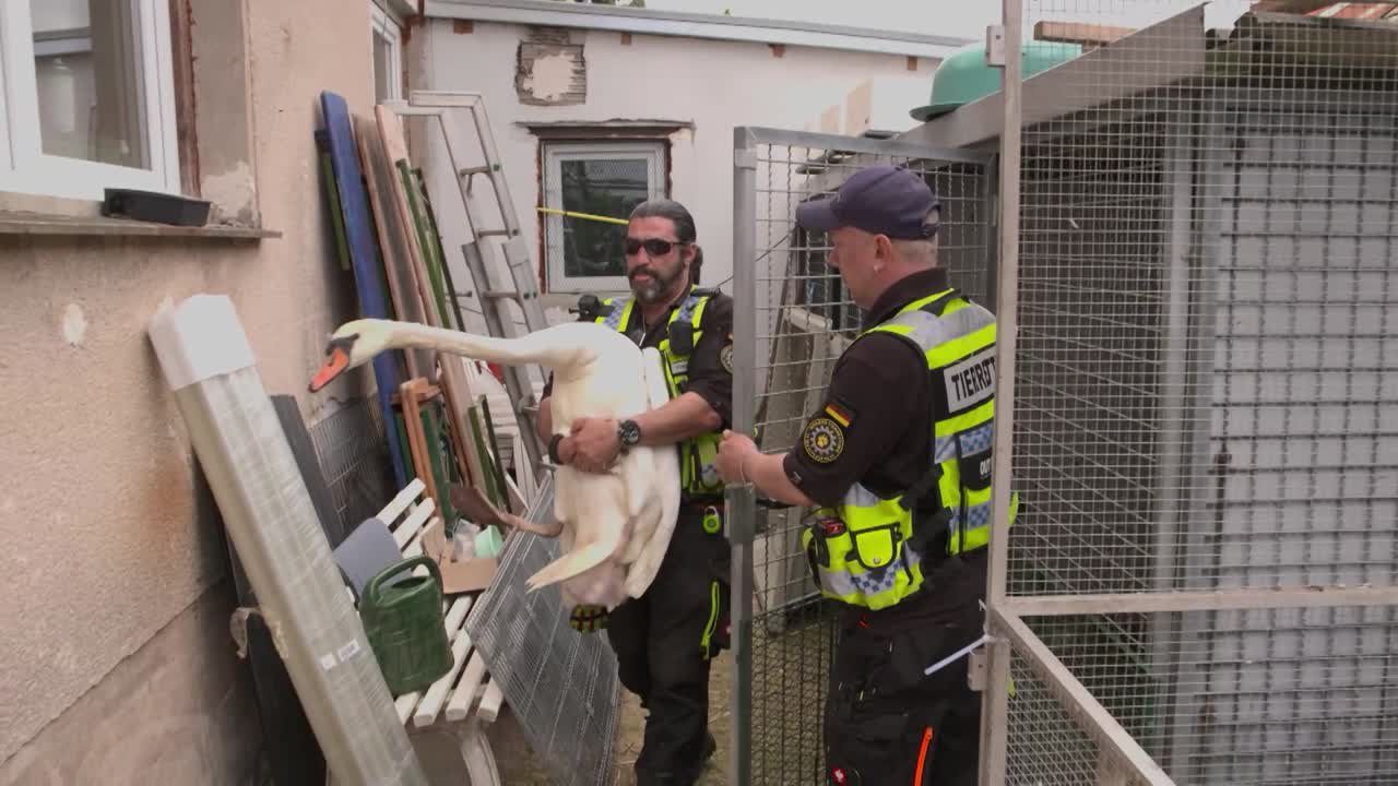 Ehrensache Der Tierretter