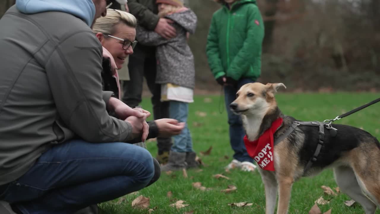 Ehrensache "Bark Date"