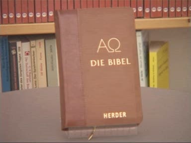 Die Bibel (Taschenausgabe mit Ledereinband und Reißverschluss)