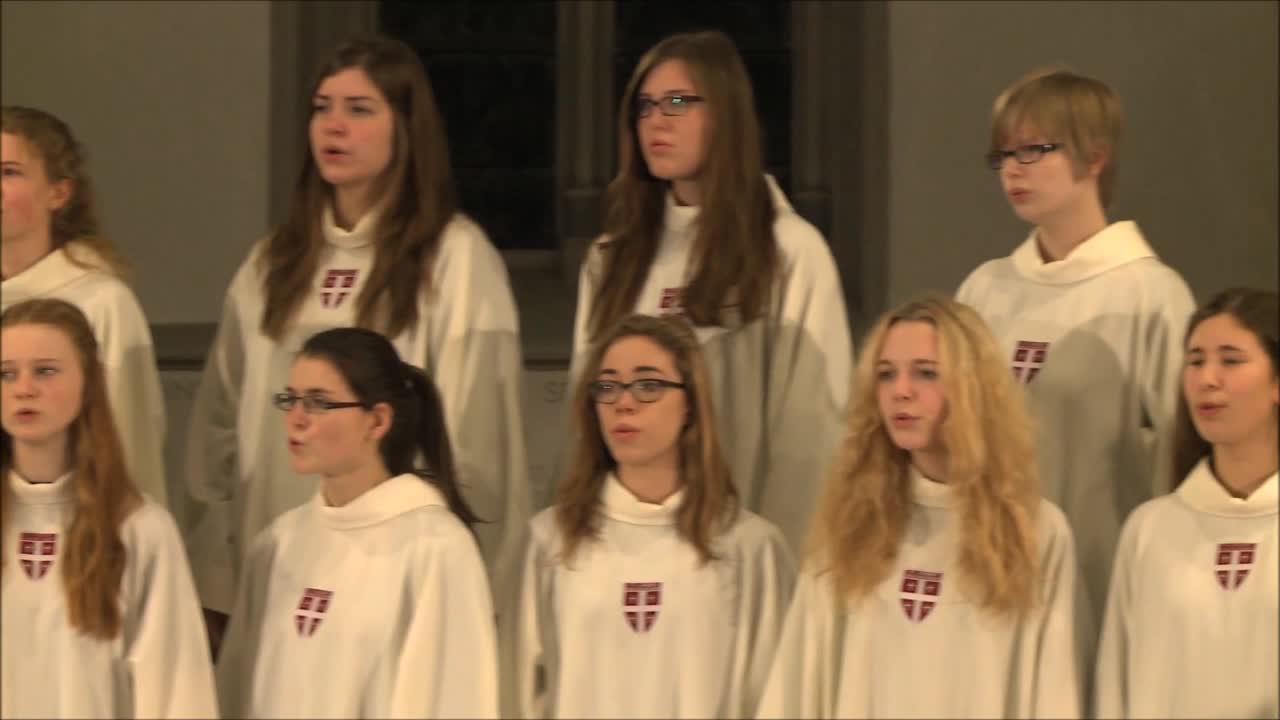 Gotteslobvideo (GL 203): O Lamm Gottes unschuldig