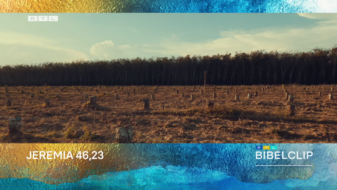 RTL-Bibelclip - Weltweit wird zu viel Wald gerodet