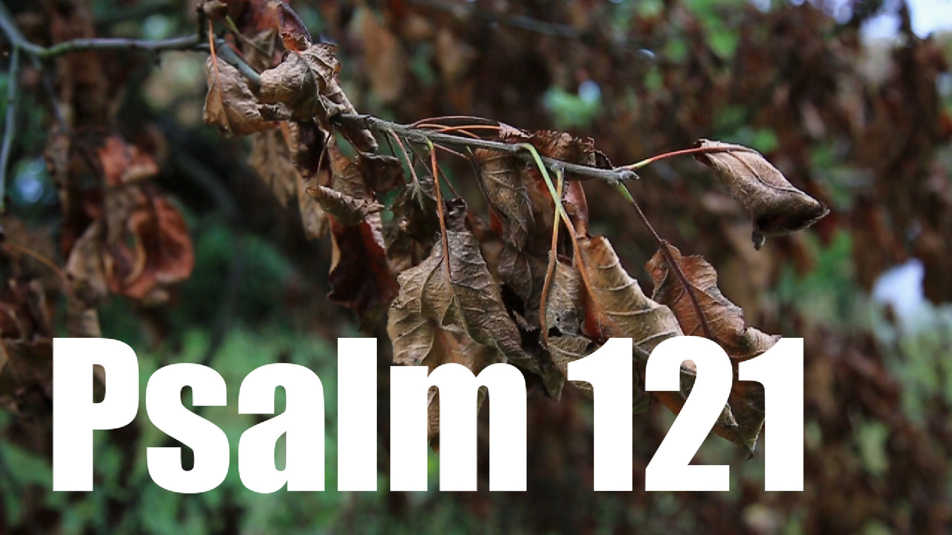 Psalm 121