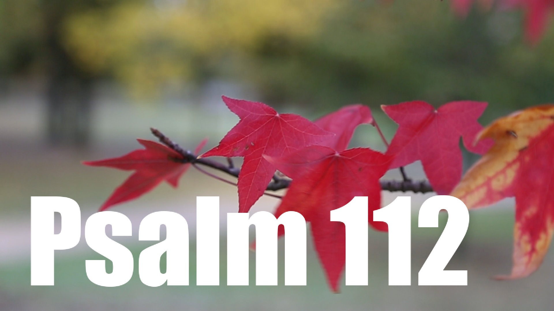 Psalm 112
