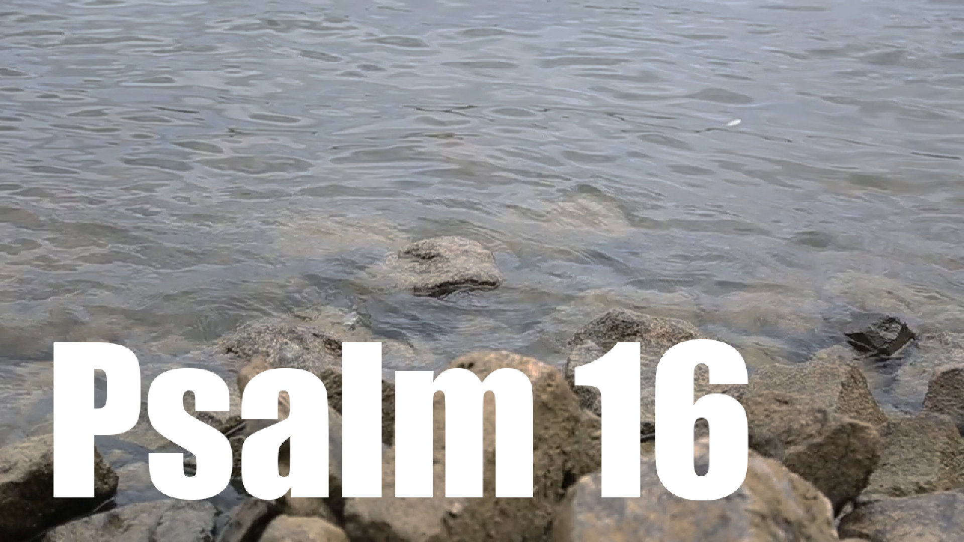 Psalm 16