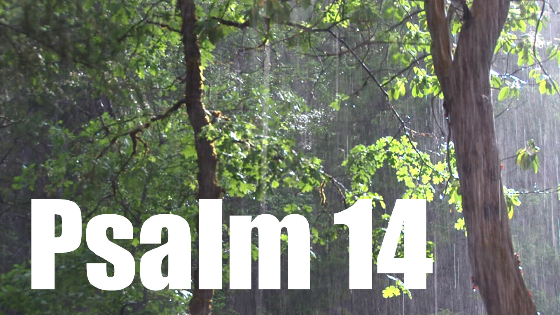 Psalm 14
