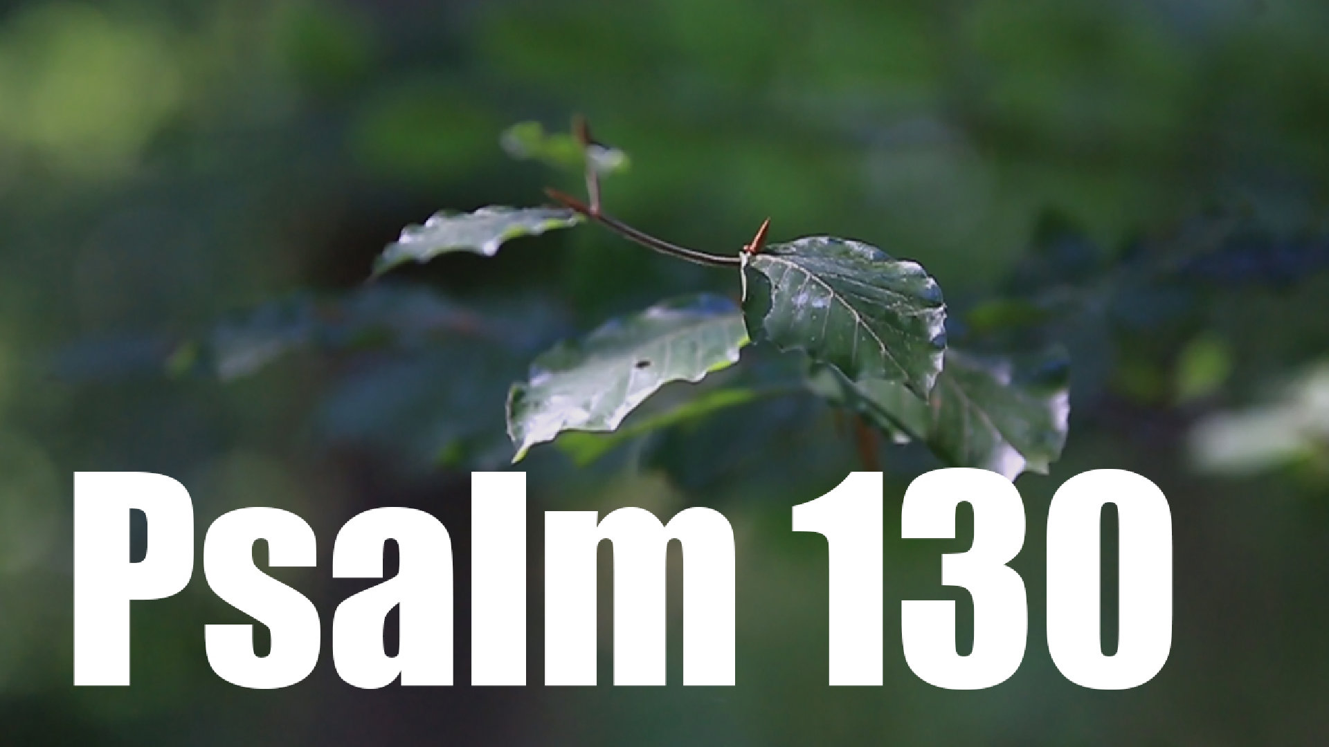 Psalm 130