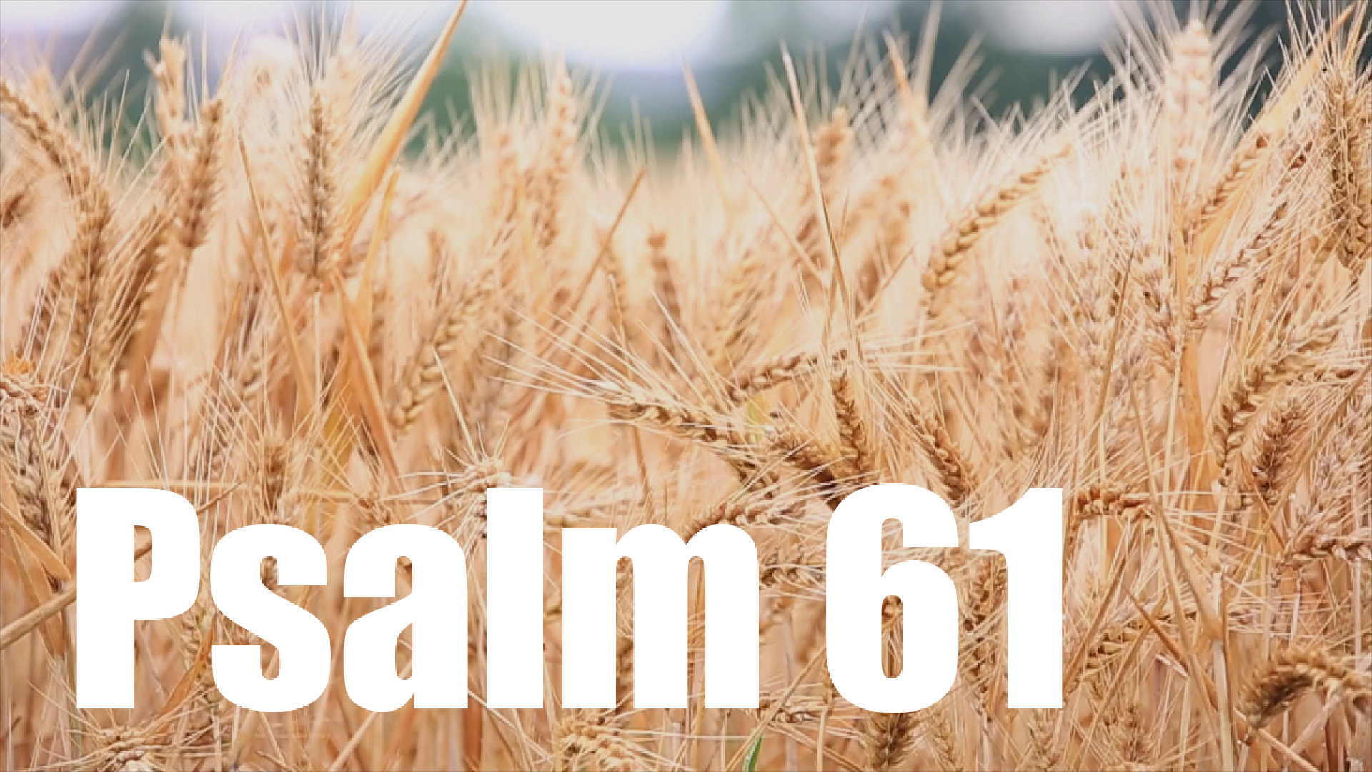 Psalm 61
