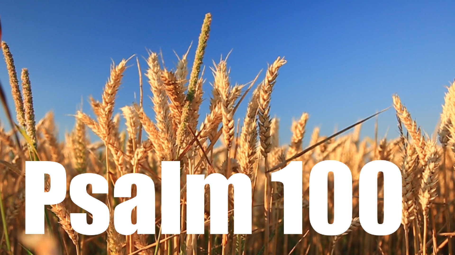 Psalm 100
