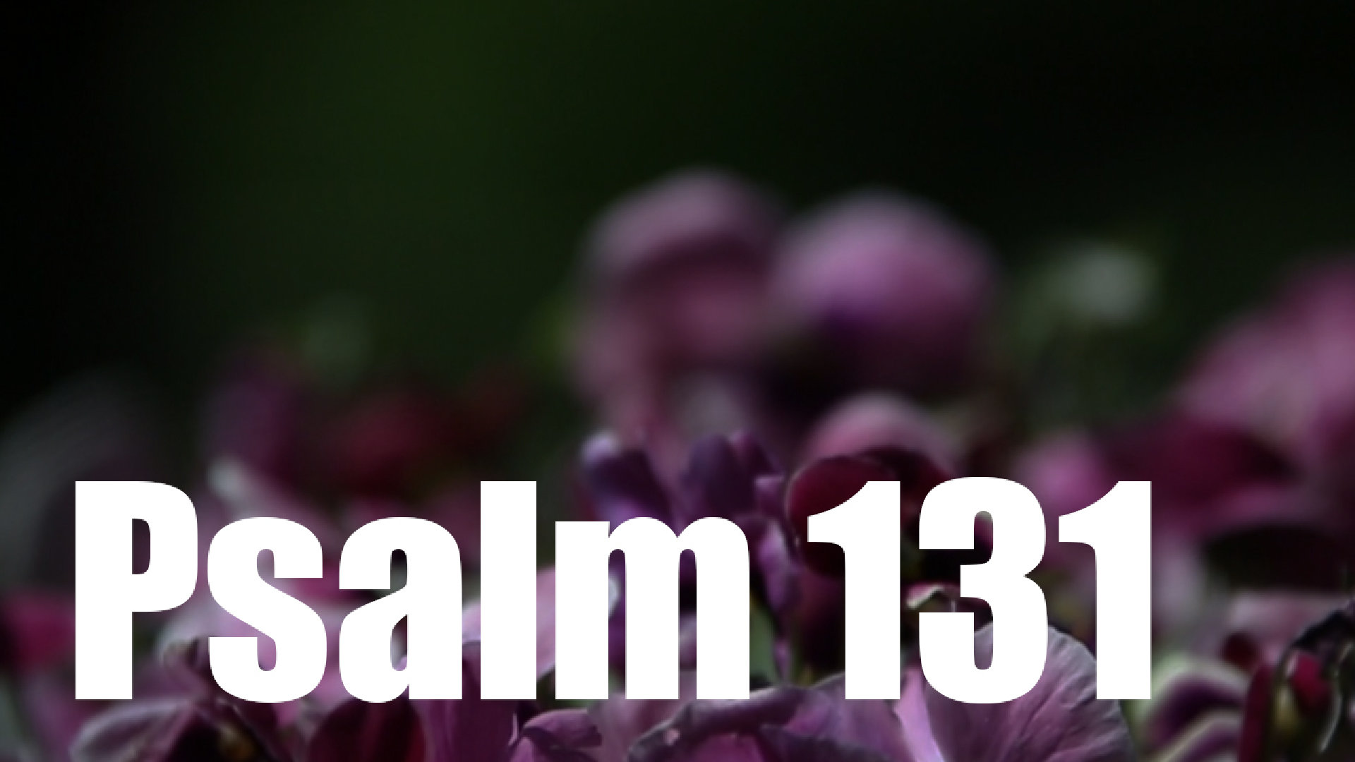 Psalm 131