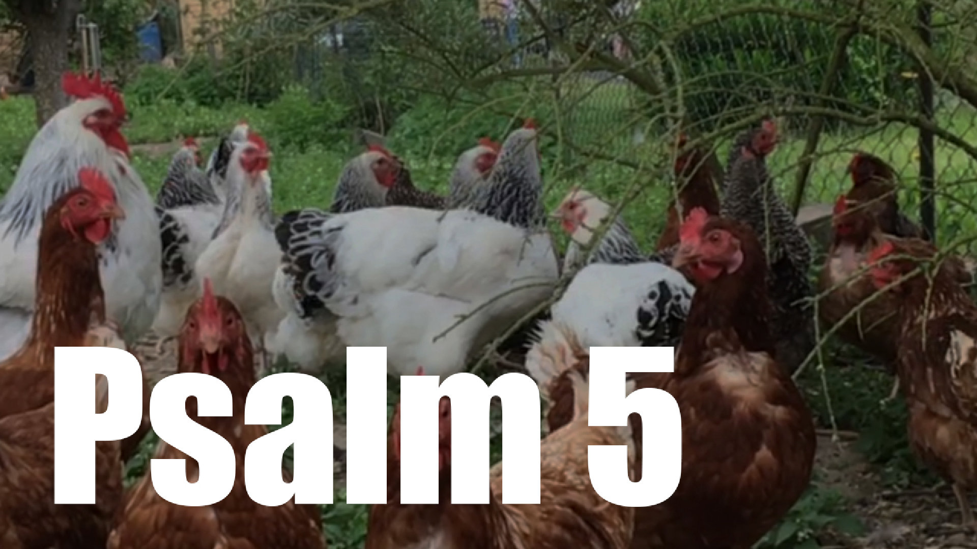 Psalm 5