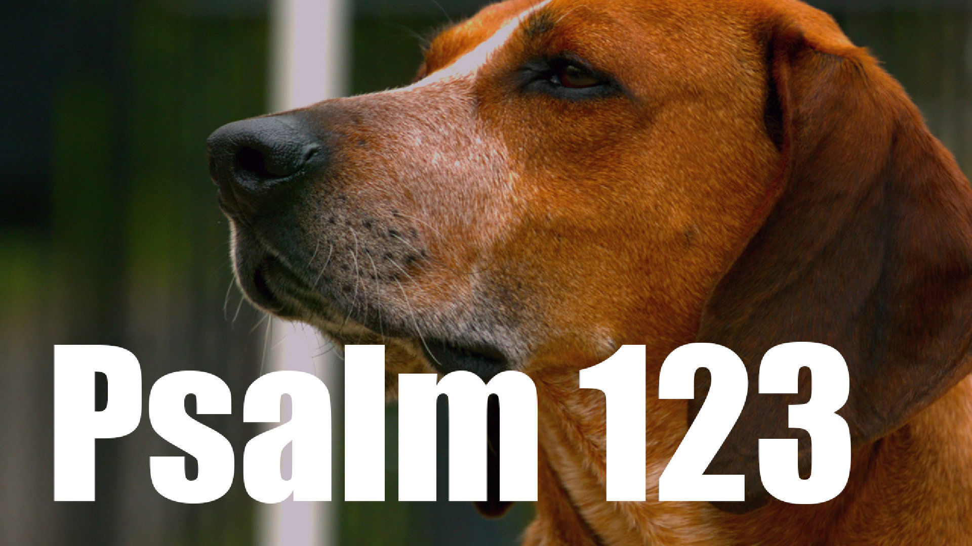 Psalm 123