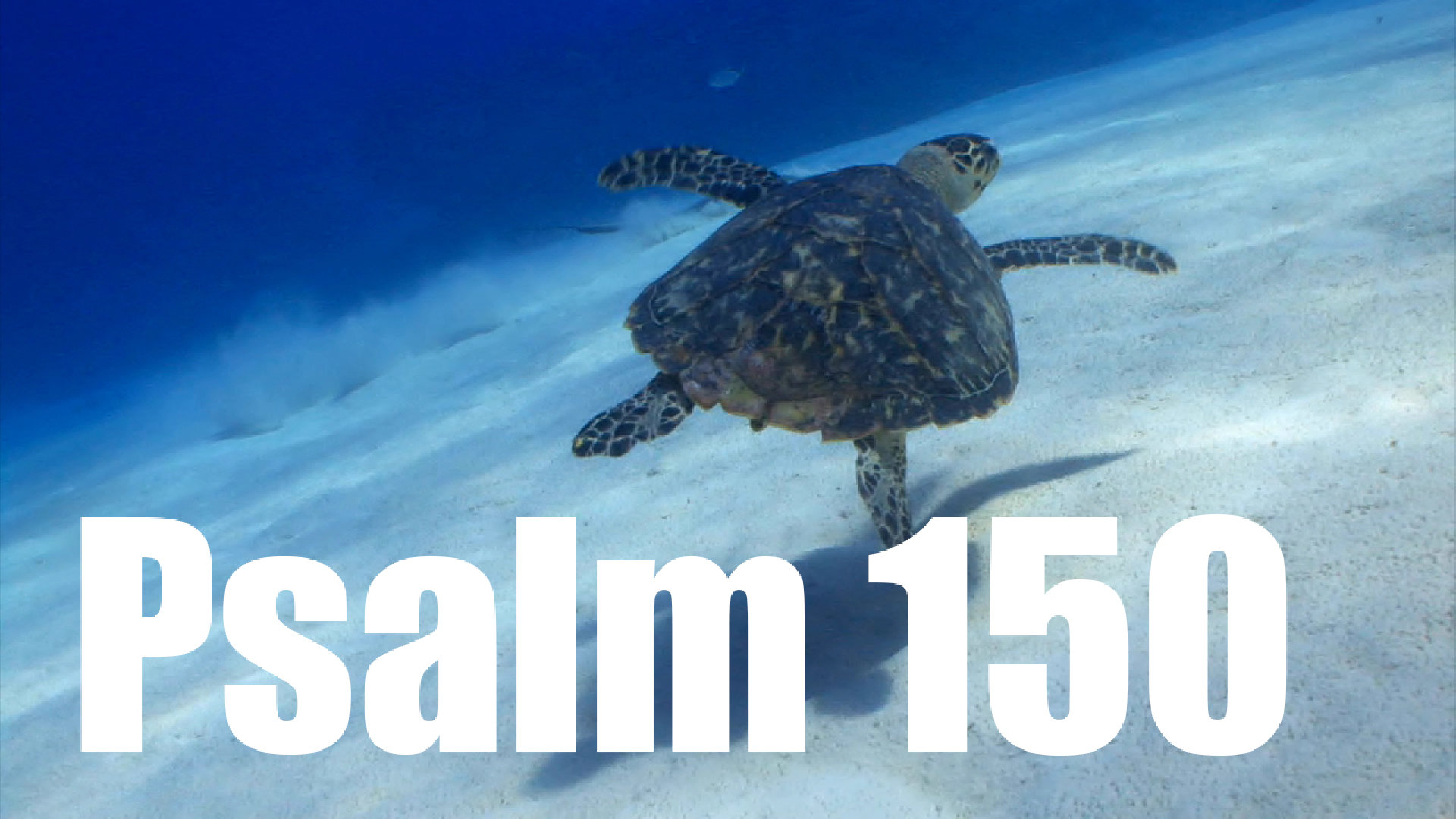 Psalm 150