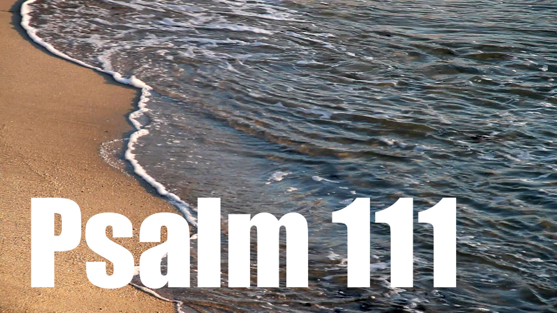 Psalm 111