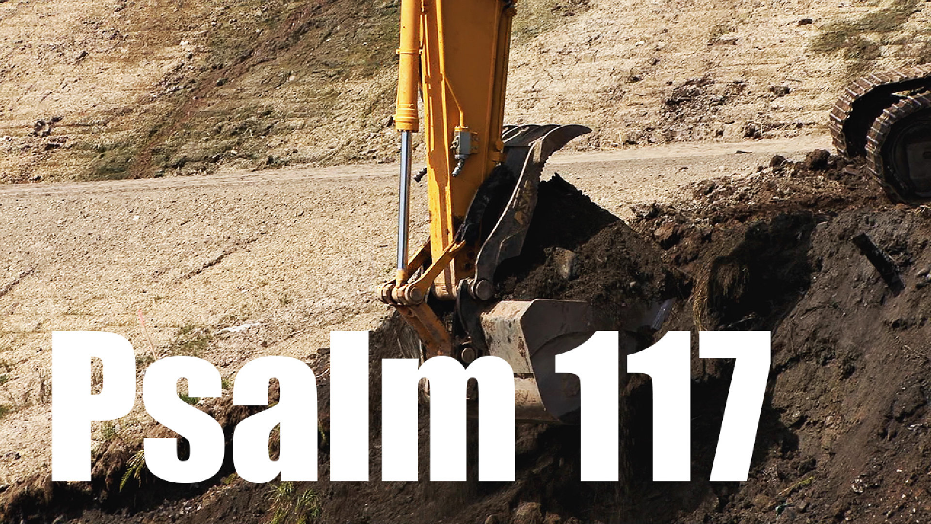 Psalm 117