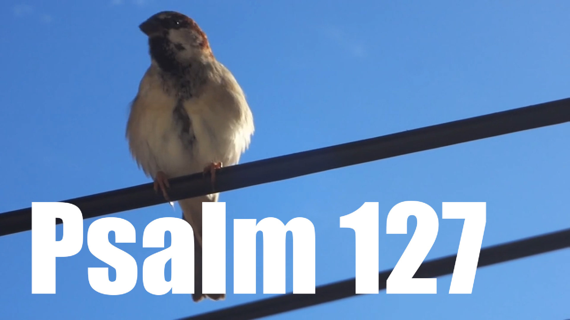 Psalm 127