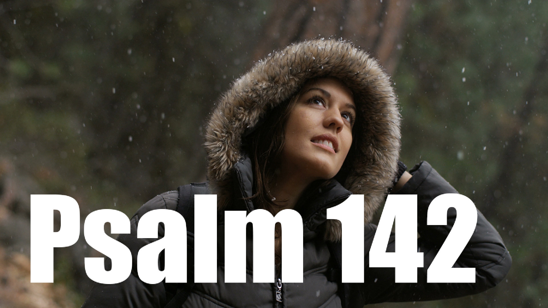 Psalm 142