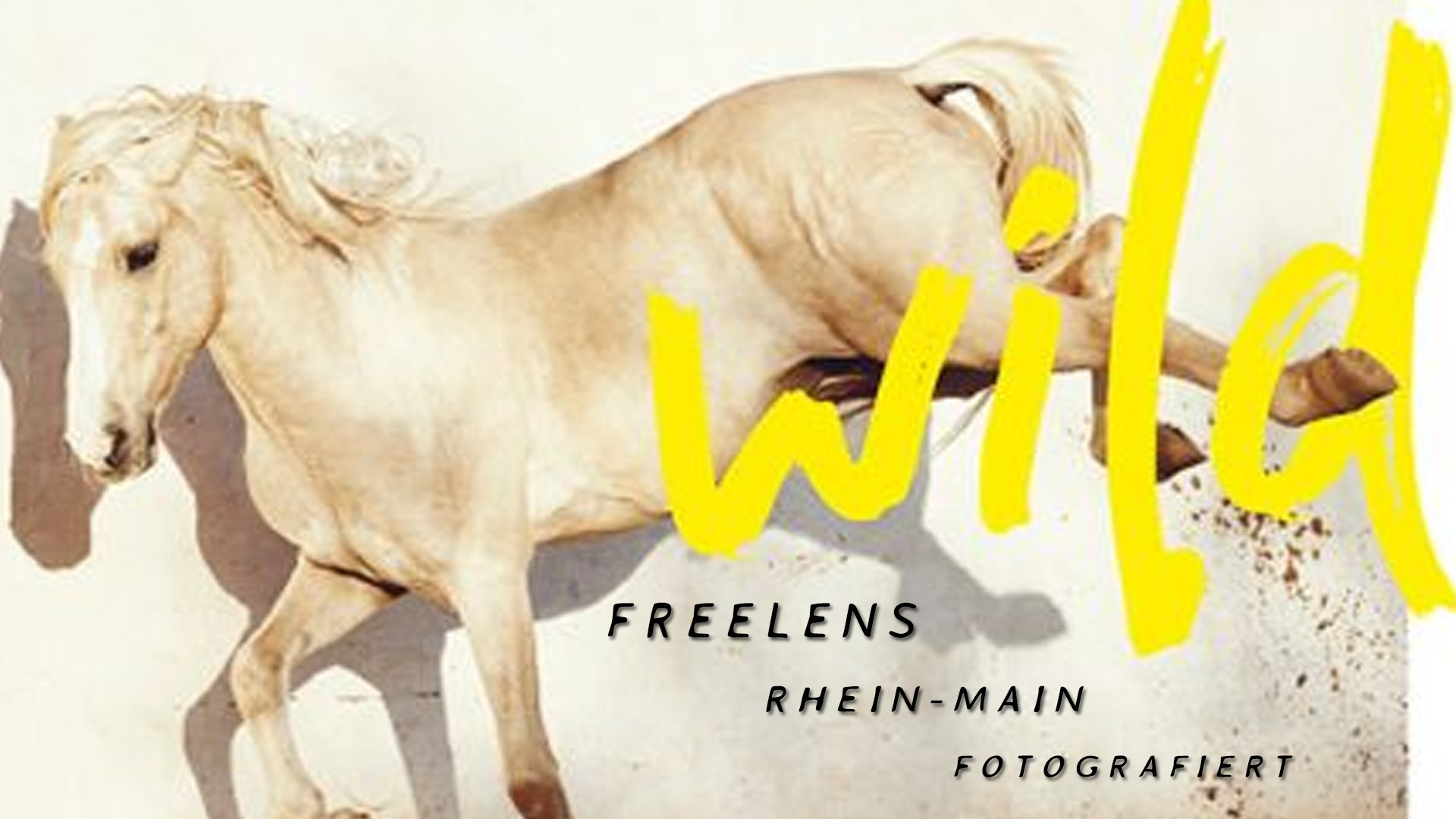 WILD - Fotoausstellung im Haus am Dom Frankfurt