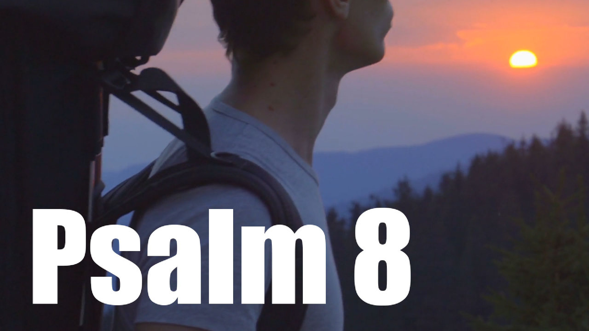 Psalm 8
