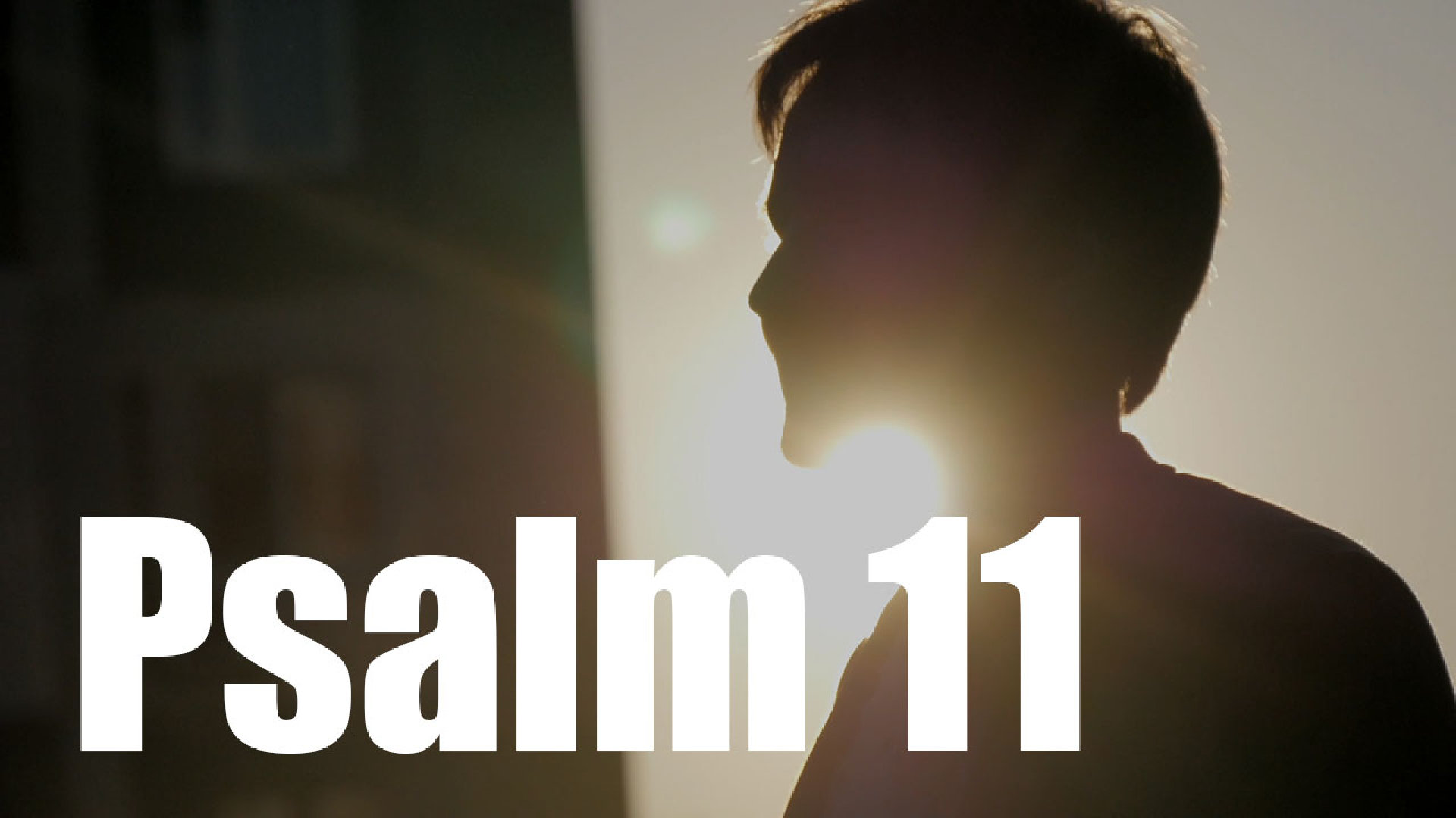Psalm 11