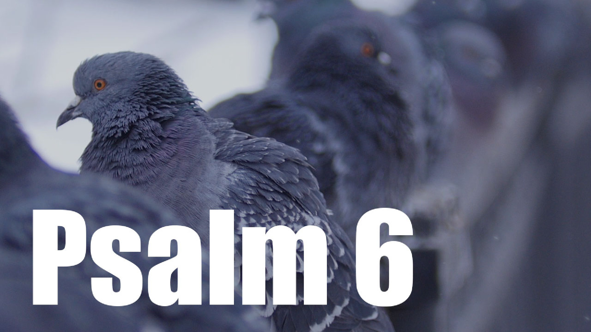 Psalm 6