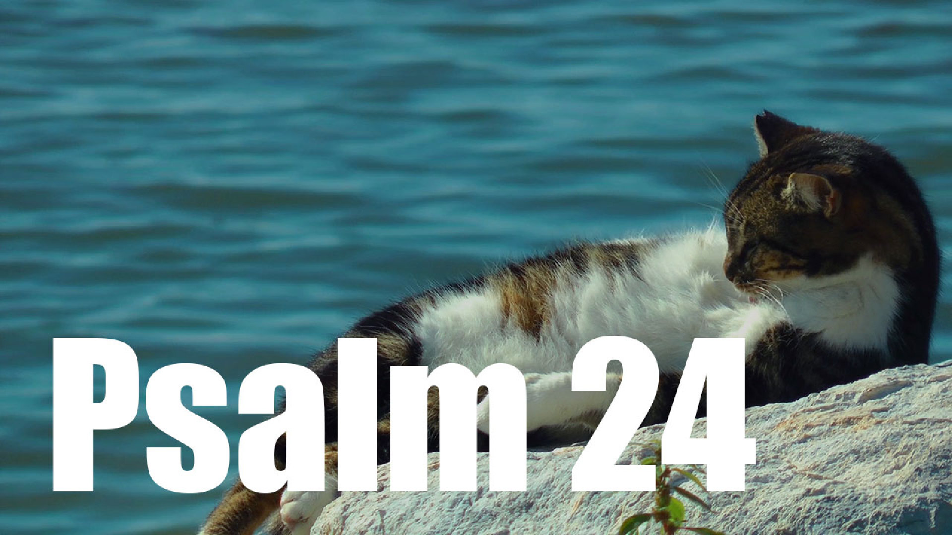 Psalm 24