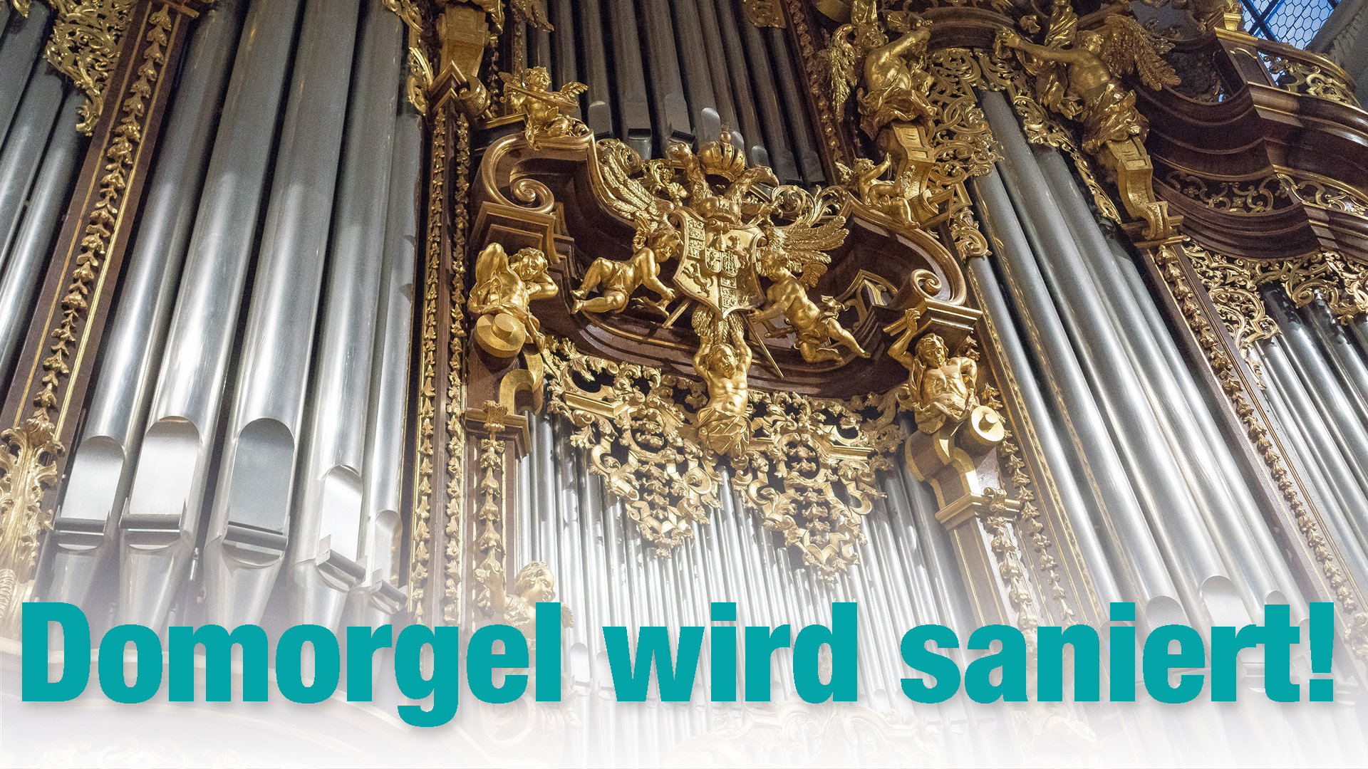 Großprojekt Passauer Domorgel - Jetzt wird saniert!